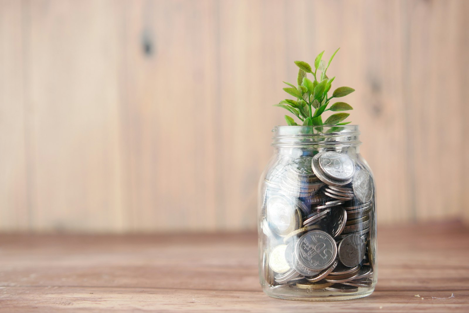 A glass jar filled with coins with a small plant growing from it
